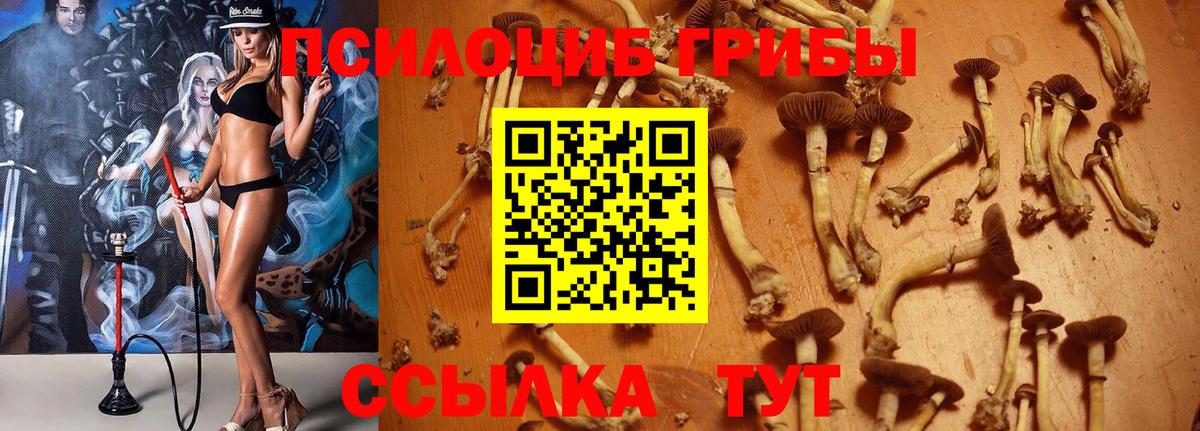 Псилоцибиновые грибы Magic Shrooms  Вход с VPN  Галлюциногенные грибы Magic Shrooms  Партизанск 